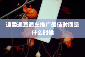 速卖通直通车推广最佳时间是什么时候