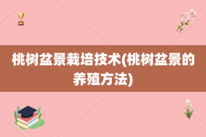 桃树盆景栽培技术(桃树盆景的养殖方法)