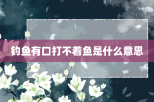 钓鱼有口打不着鱼是什么意思