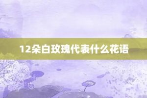 12朵白玫瑰代表什么花语
