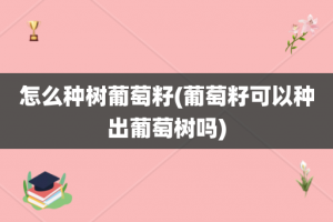 怎么种树葡萄籽(葡萄籽可以种出葡萄树吗)