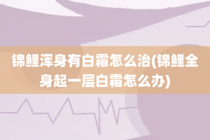 锦鲤浑身有白霜怎么治(锦鲤全身起一层白霜怎么办)