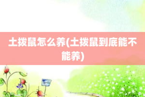 土拨鼠怎么养(土拨鼠到底能不能养)