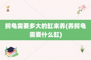 鳄龟需要多大的缸来养(养鳄龟需要什么缸)