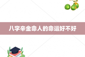 八字辛金命人的命运好不好