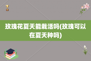 玫瑰花夏天能栽活吗(玫瑰可以在夏天种吗)