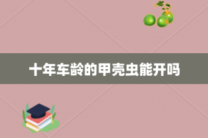 十年车龄的甲壳虫能开吗