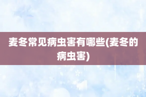 麦冬常见病虫害有哪些(麦冬的病虫害)