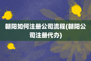 朝阳如何注册公司流程(朝阳公司注册代办)