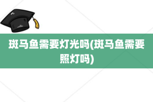 斑马鱼需要灯光吗(斑马鱼需要照灯吗)
