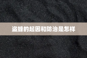 盗蜂的起因和防治是怎样