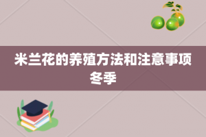 米兰花的养殖方法和注意事项冬季