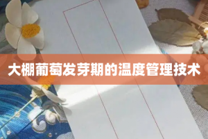 大棚葡萄发芽期的温度管理技术