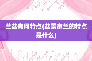 兰盆有何特点(盆景家兰的特点是什么)