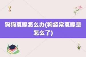 狗狗哀嚎怎么办(狗经常哀嚎是怎么了)