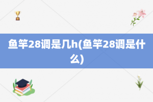 鱼竿28调是几h(鱼竿28调是什么)