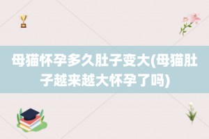 母猫怀孕多久肚子变大(母猫肚子越来越大怀孕了吗)
