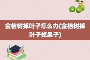 金桔树掉叶子怎么办(金桔树掉叶子掉果子)