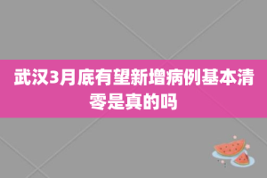 武汉3月底有望新增病例基本清零是真的吗