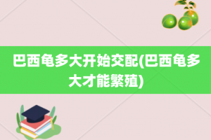 巴西龟多大开始交配(巴西龟多大才能繁殖)