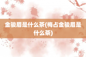 金骏眉是什么茶(梅占金骏眉是什么茶)