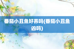 番茄小丑鱼好养吗(番茄小丑鱼凶吗)