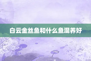 白云金丝鱼和什么鱼混养好