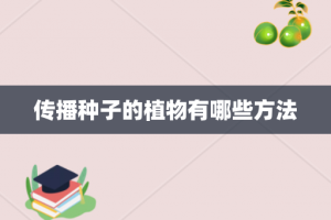 传播种子的植物有哪些方法