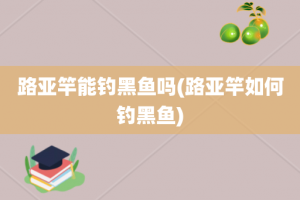 路亚竿能钓黑鱼吗(路亚竿如何钓黑鱼)