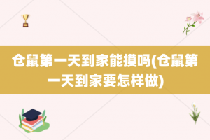 仓鼠第一天到家能摸吗(仓鼠第一天到家要怎样做)