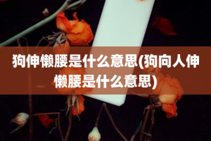 狗伸懒腰是什么意思(狗向人伸懒腰是什么意思)