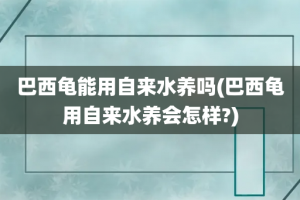 巴西龟能用自来水养吗(巴西龟用自来水养会怎样?)