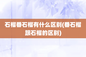 石榴番石榴有什么区别(番石榴跟石榴的区别)