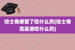 哈士奇感冒了吃什么药(哈士奇流鼻涕吃什么药)