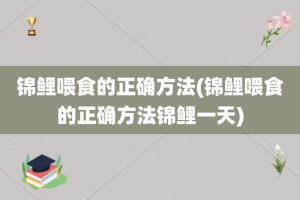 锦鲤喂食的正确方法(锦鲤喂食的正确方法锦鲤一天)