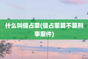 什么叫侵占罪(侵占罪算不算刑事案件)