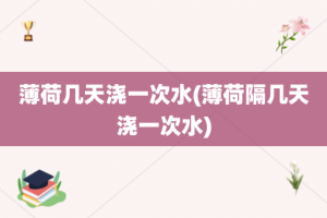 薄荷几天浇一次水(薄荷隔几天浇一次水)