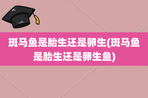 斑马鱼是胎生还是卵生(斑马鱼是胎生还是卵生鱼)