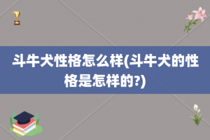 斗牛犬性格怎么样(斗牛犬的性格是怎样的?)