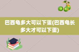 巴西龟多大可以下蛋(巴西龟长多大才可以下蛋)