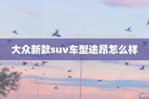 大众新款suv车型途昂怎么样