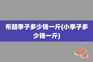 布朗李子多少钱一斤(小李子多少钱一斤)