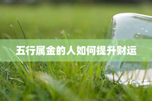 五行属金的人如何提升财运