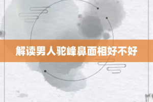 解读男人驼峰鼻面相好不好