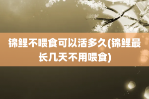 锦鲤不喂食可以活多久(锦鲤最长几天不用喂食)