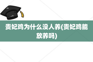 贵妃鸡为什么没人养(贵妃鸡能放养吗)