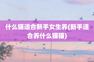 什么猫适合新手女生养(新手适合养什么猫猫)