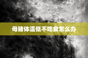 母猪体温低不吃食怎么办