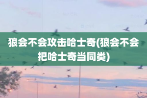 狼会不会攻击哈士奇(狼会不会把哈士奇当同类)