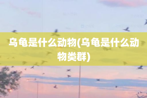 乌龟是什么动物(乌龟是什么动物类群)